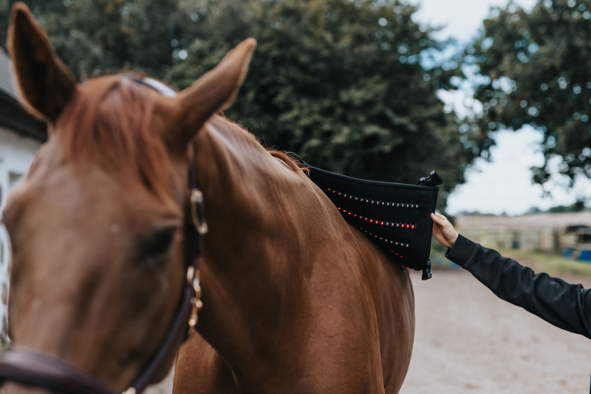 En handhållen laserenhet bredvid ett ” LED by CHEVAL ”-bandage