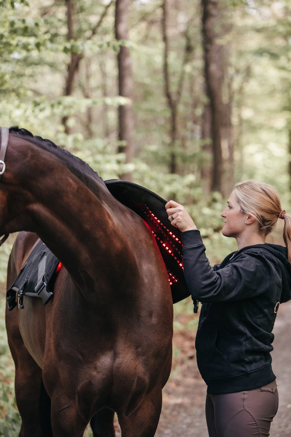 LED by CHEVAL Wrap108  monteret på hestens ryg i naturligt lys