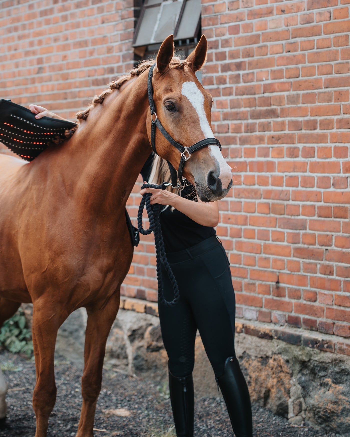 The Pad lifted away from a chestnut horse's back, showing rows of lit red lamps across the underside of the panel.