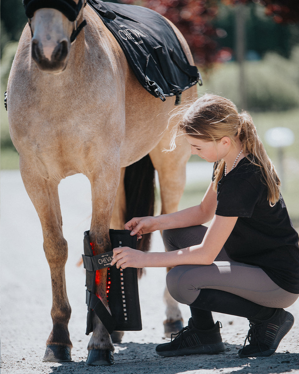 Wrap72 | Système de traitement par LED rouges et infrarouges pour chevaux