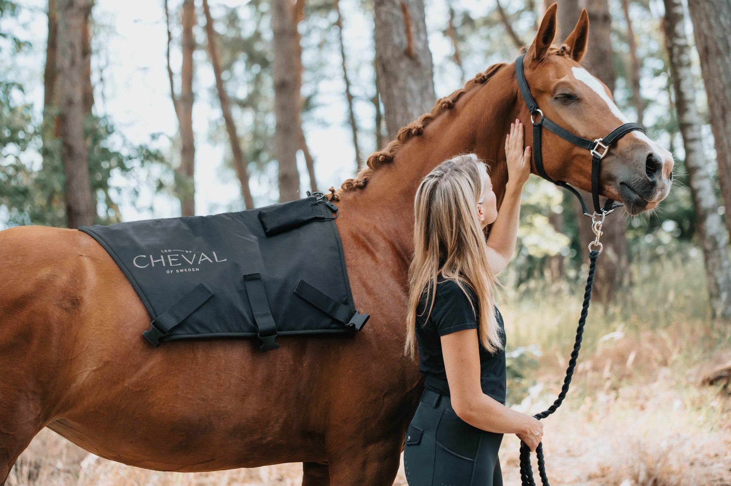 Un cavallo in una foresta che indossa un sistema " LED by CHEVAL ", con un addestratore alla sua testa