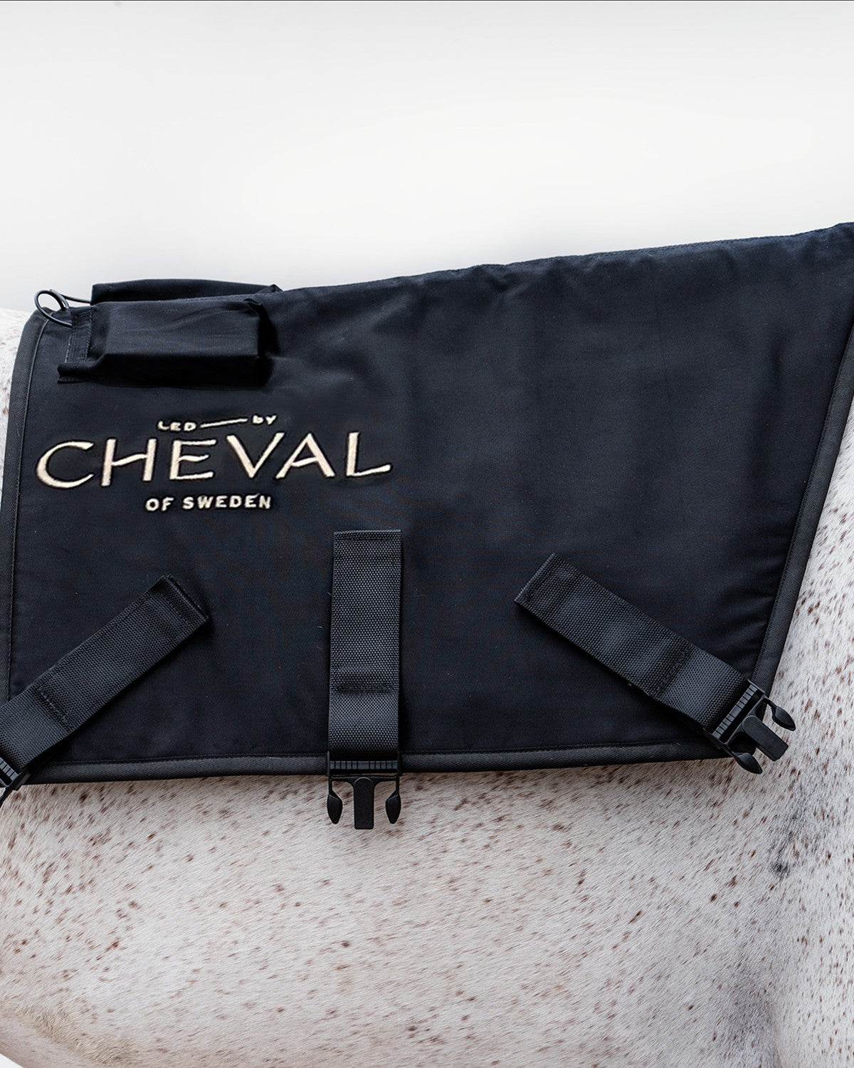 LED by CHEVAL Pad  monterad på hästens rygglinje