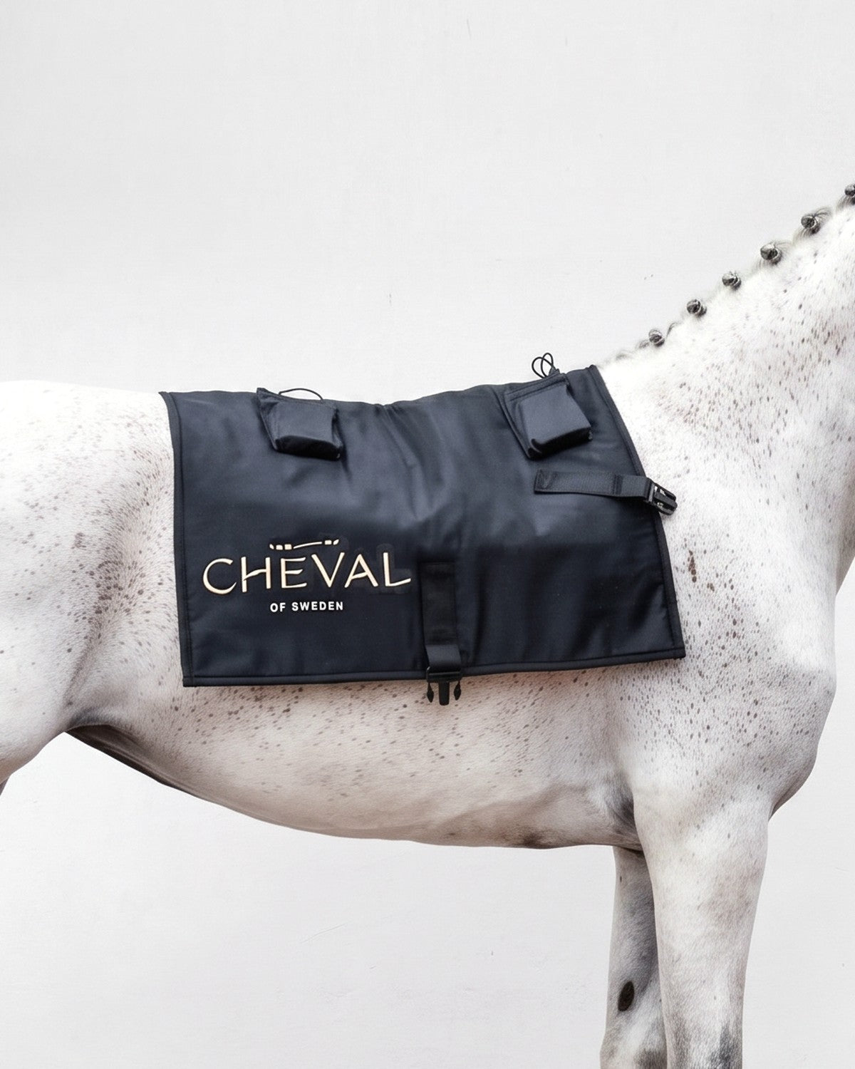 L'LED by CHEVAL Sheet  applicato sulla linea superiore del dorso del cavallo