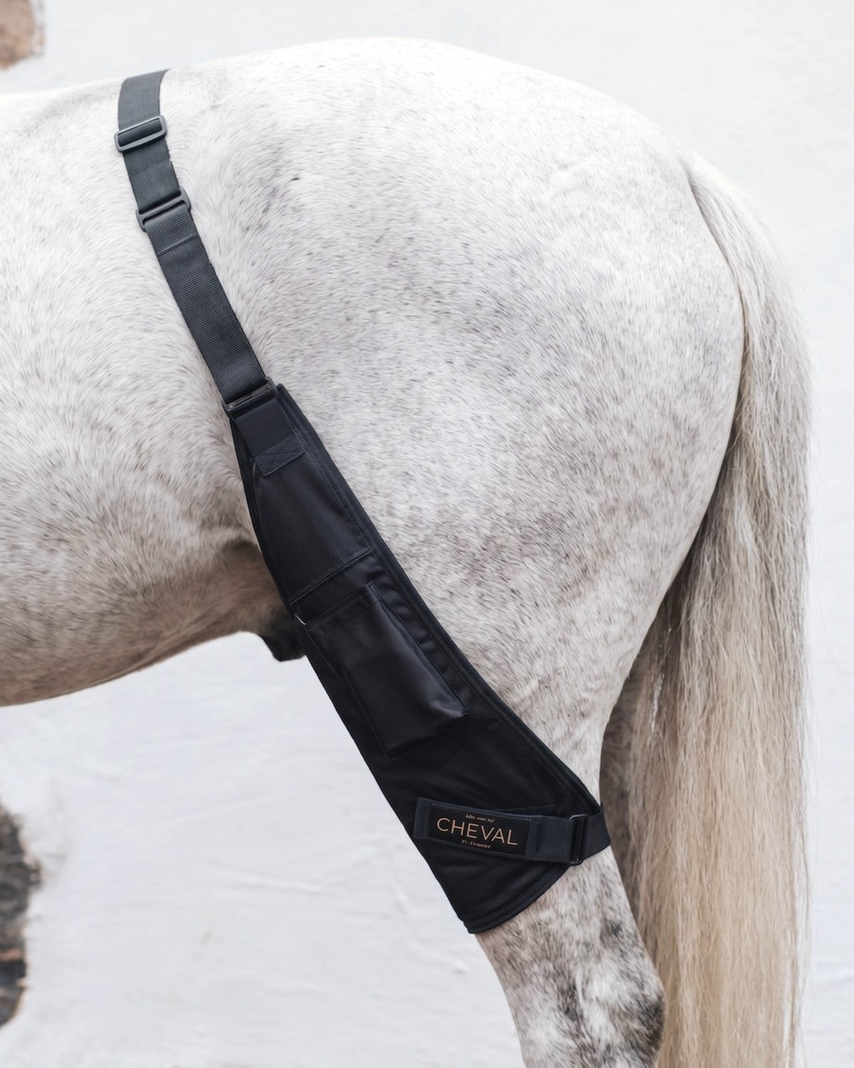 LED by CHEVAL Stifle Wrap  monterad på en hästs knän