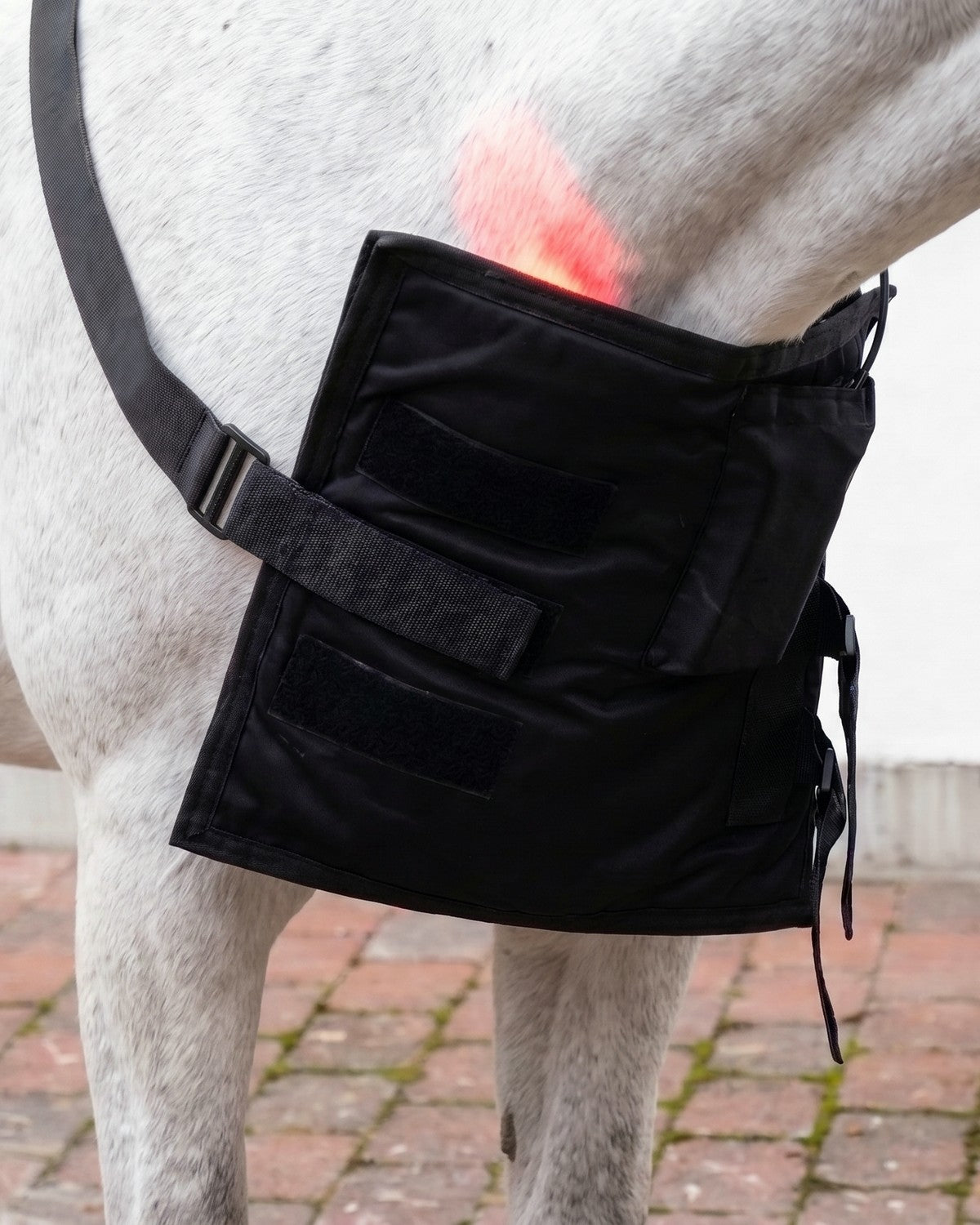 LED by CHEVAL Wrap108  , som fästs på hästens bröst och axlar