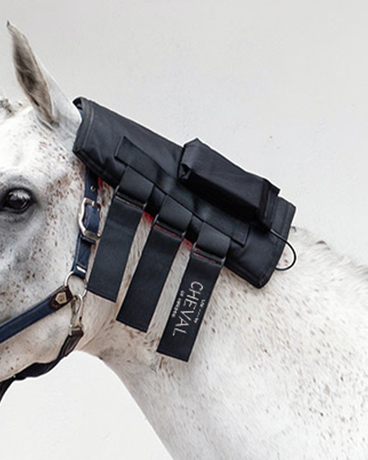 LED by CHEVAL Wrap108  som fästs runt hästens hals och nacke