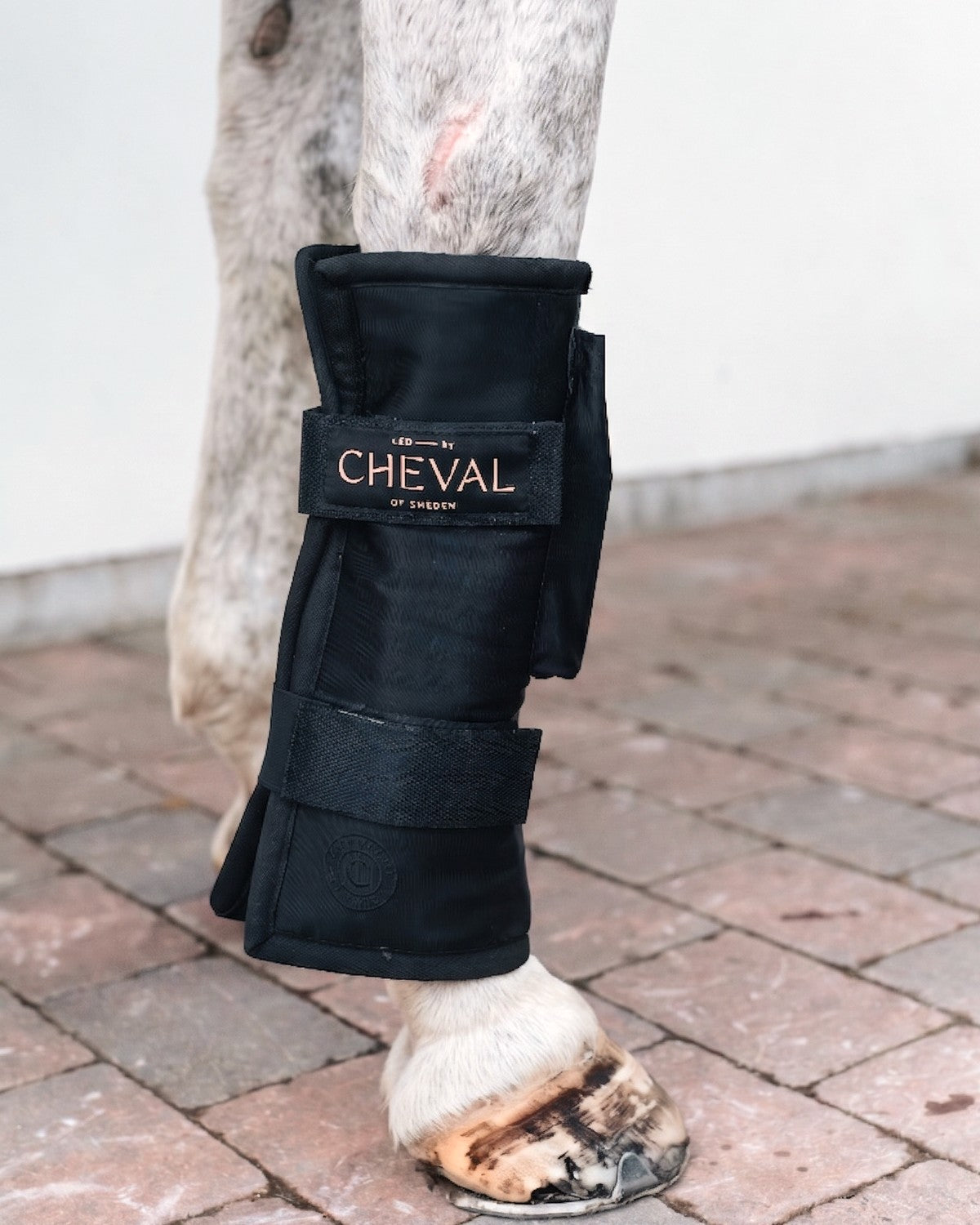LED by CHEVAL Wrap72  monterad på hästens ben