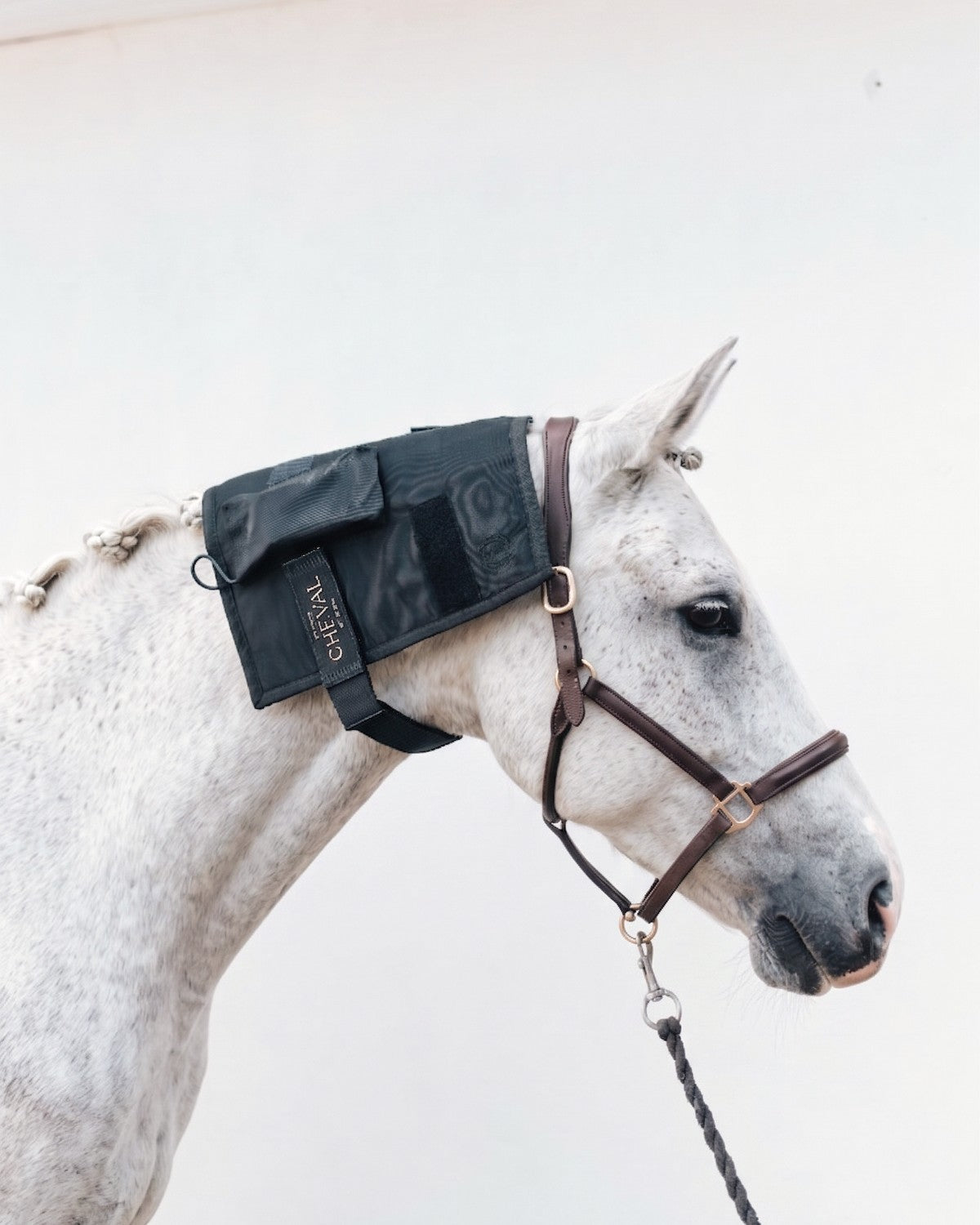 Der „ LED by CHEVAL  “Wrap72 , der am Hals und am Hinterkopf eines Pferdes angebracht wird