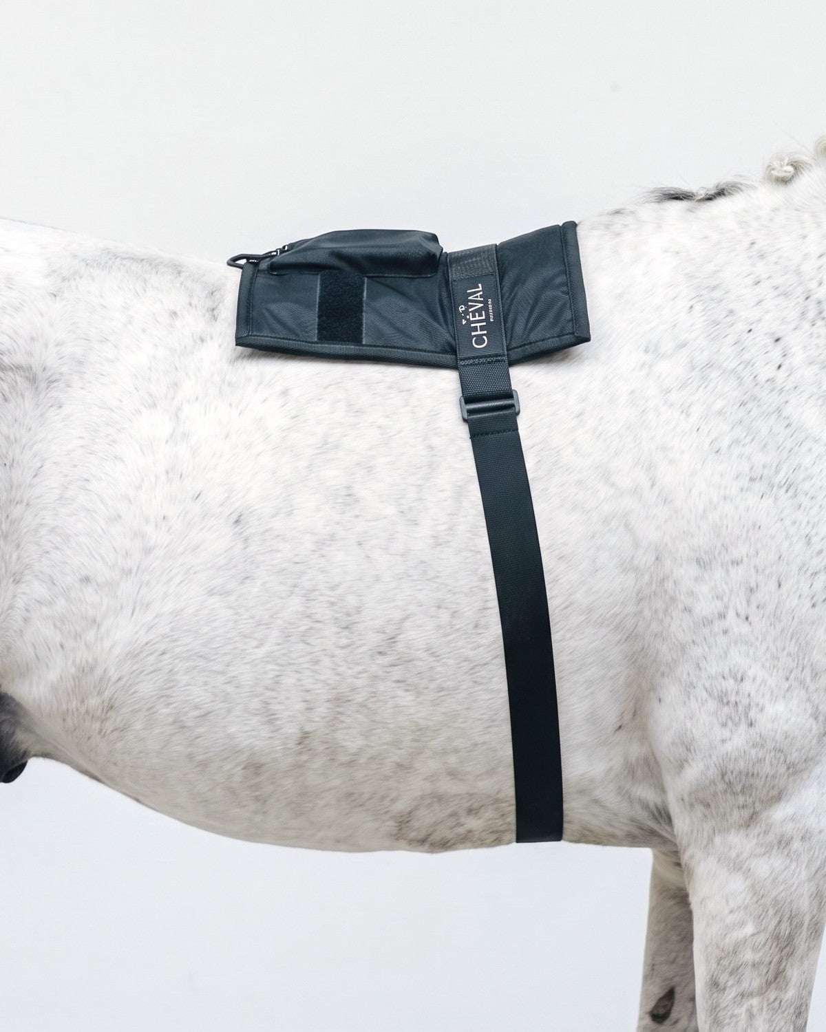 Der „ LED by CHEVAL  “Wrap72 , angebracht am Nacken eines Pferdes