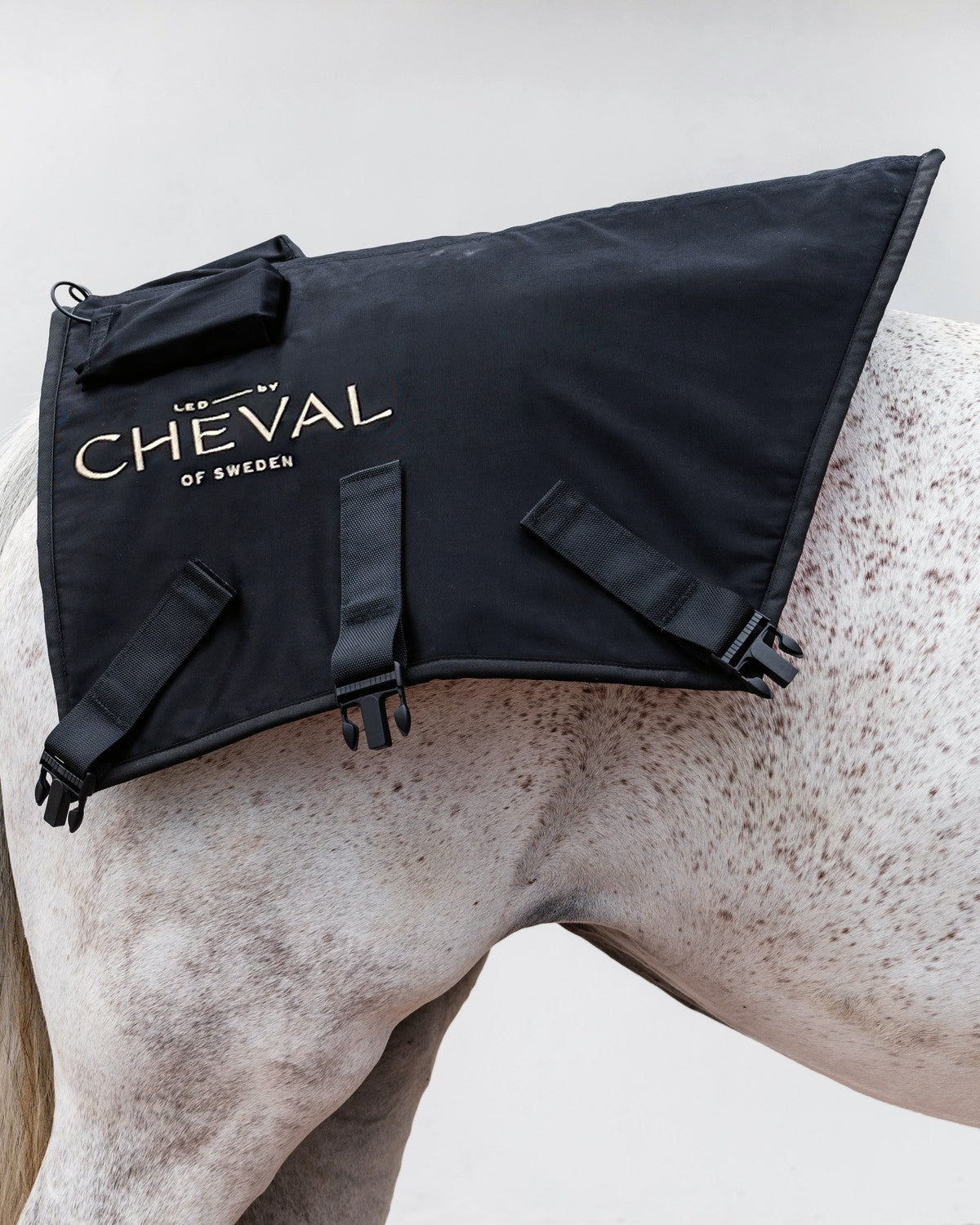 The LED by CHEVAL Pad fitted on the croup of a horse