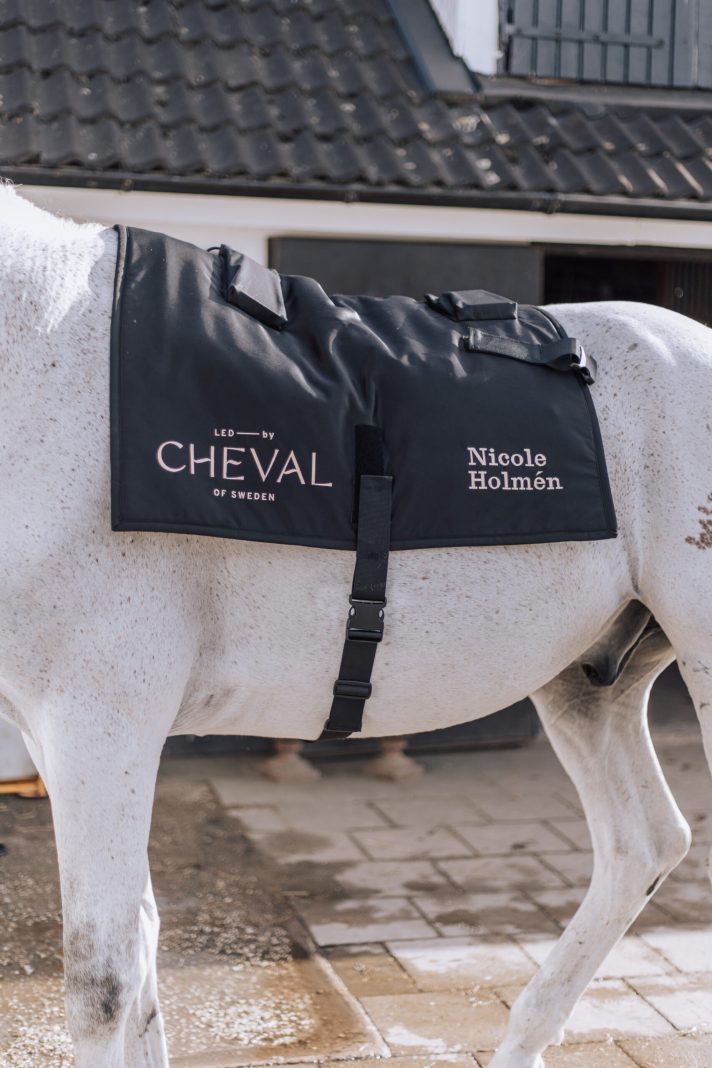 Shop – CHEVAL by LED