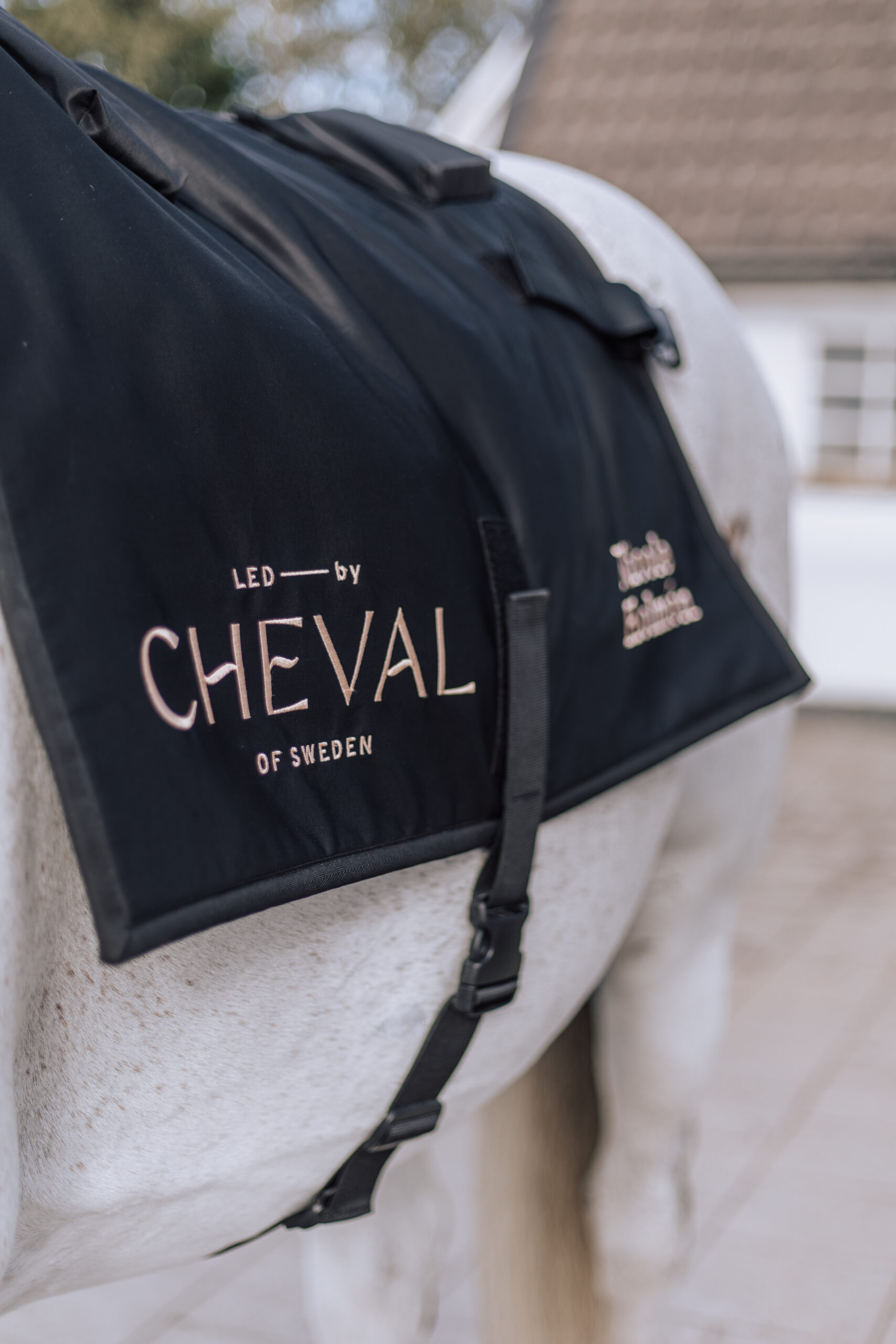 Contact Us CHEVAL LED by -