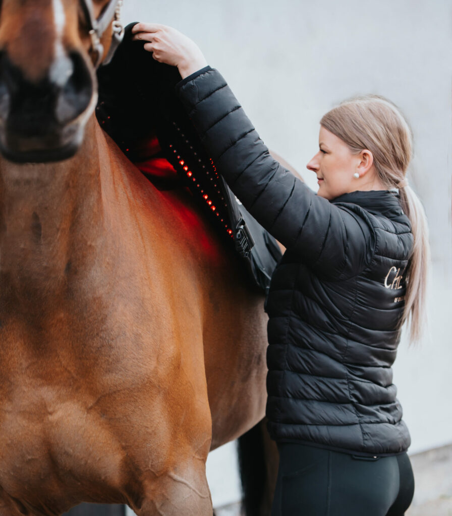 LED by CHEVAL for horses